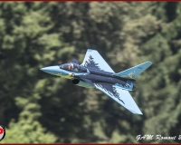 TSR Watermark - 0432